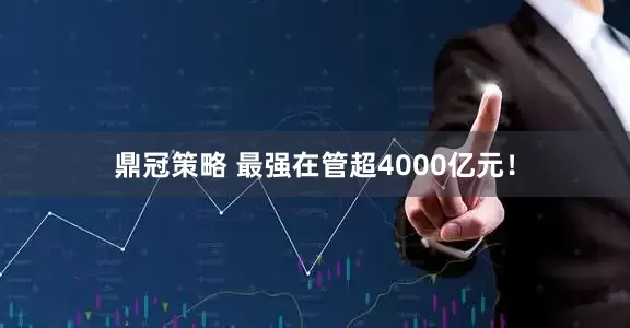 鼎冠策略 最强在管超4000亿元！