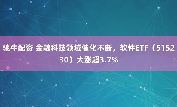 驰牛配资 金融科技领域催化不断，软件ETF（515230）大涨超3.7%