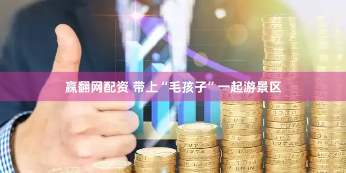 赢翻网配资 带上“毛孩子”一起游景区