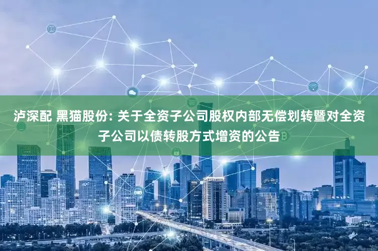 泸深配 黑猫股份: 关于全资子公司股权内部无偿划转暨对全资子公司以债转股方式增资的公告