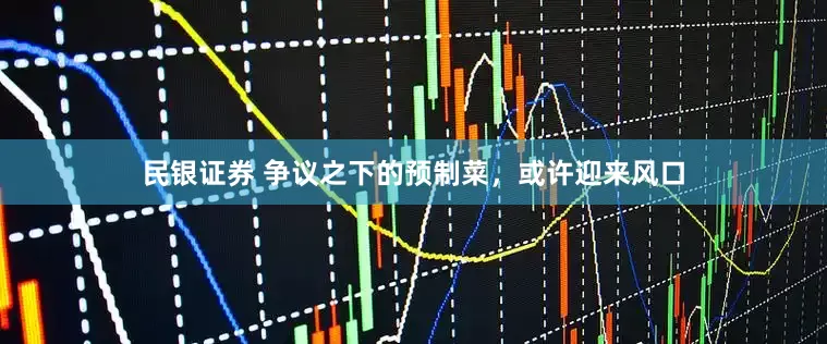 民银证券 争议之下的预制菜，或许迎来风口