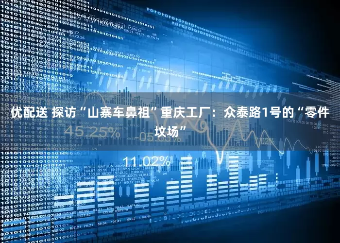 优配送 探访“山寨车鼻祖”重庆工厂：众泰路1号的“零件坟场”