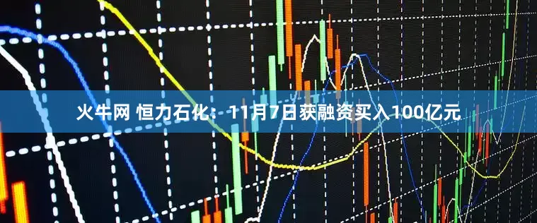 火牛网 恒力石化：11月7日获融资买入100亿元