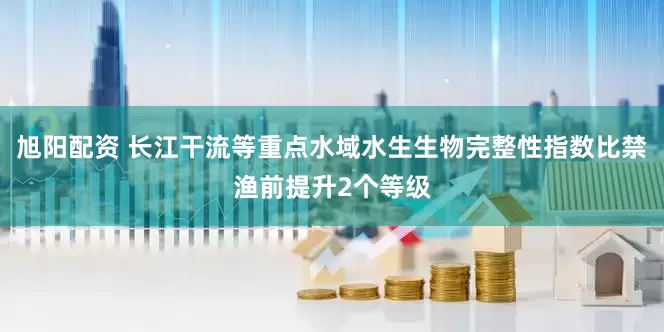 旭阳配资 长江干流等重点水域水生生物完整性指数比禁渔前提升2个等级